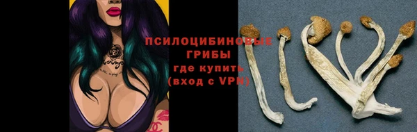 мдма Няндома