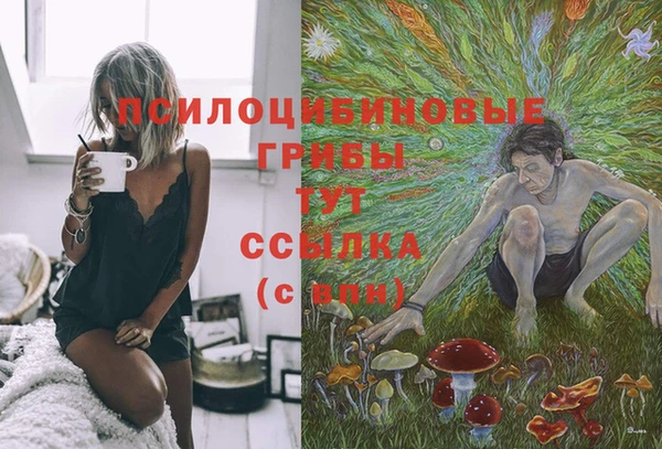 мдма Няндома