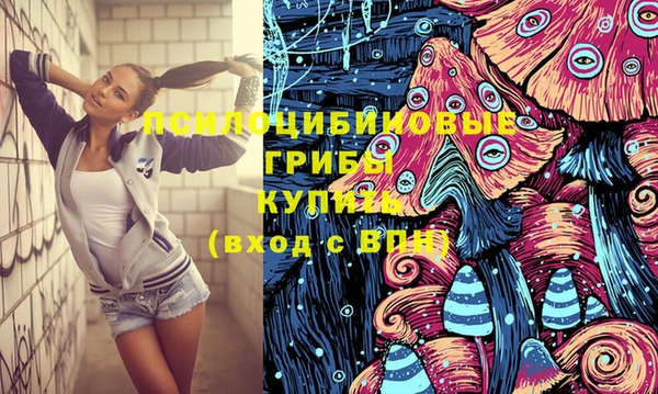 мдма Няндома
