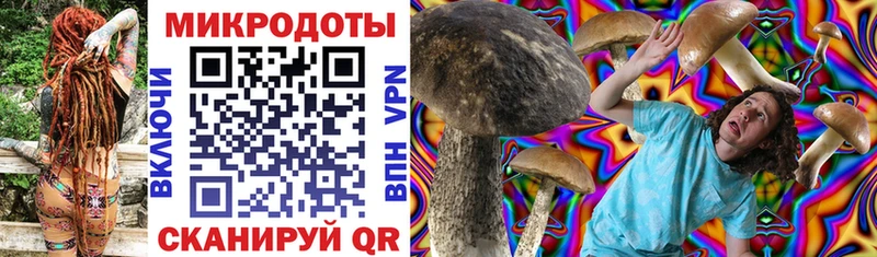 MEGA рабочий сайт  Славгород  Галлюциногенные грибы Psilocybine cubensis 